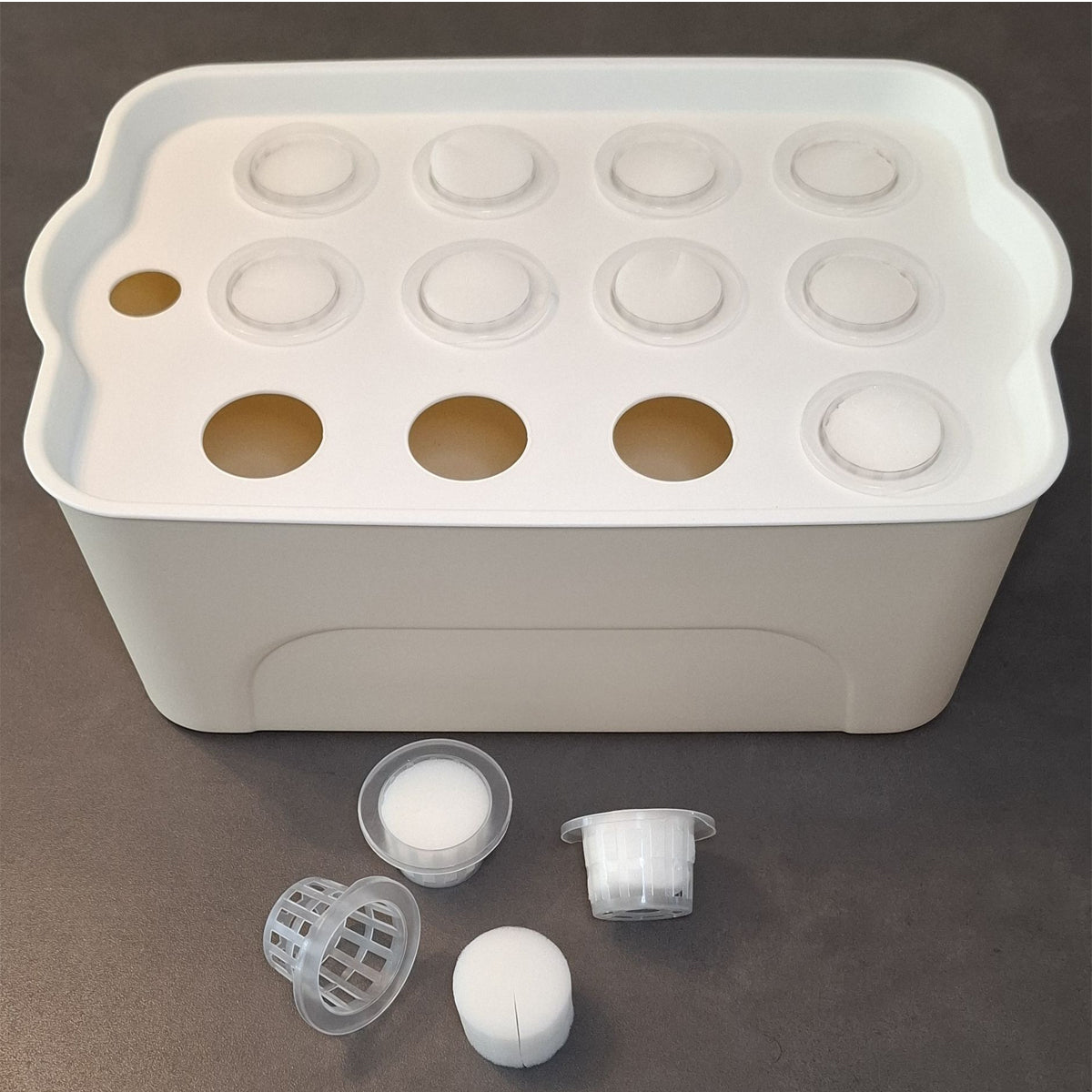 HTP Hydro Box