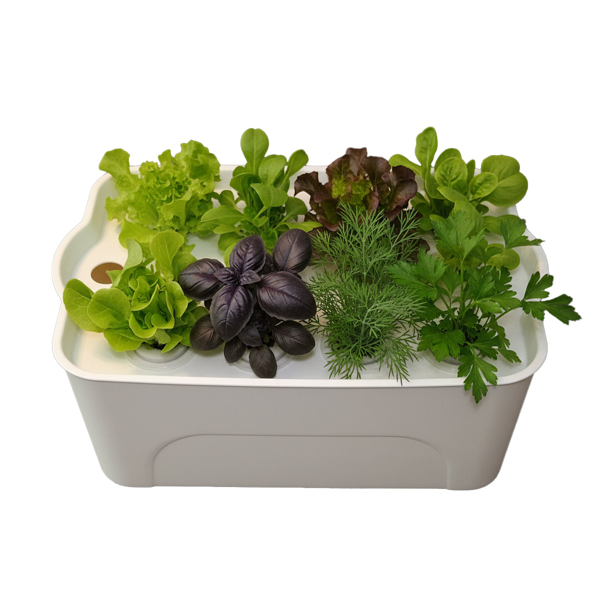 HTP Hydro Box