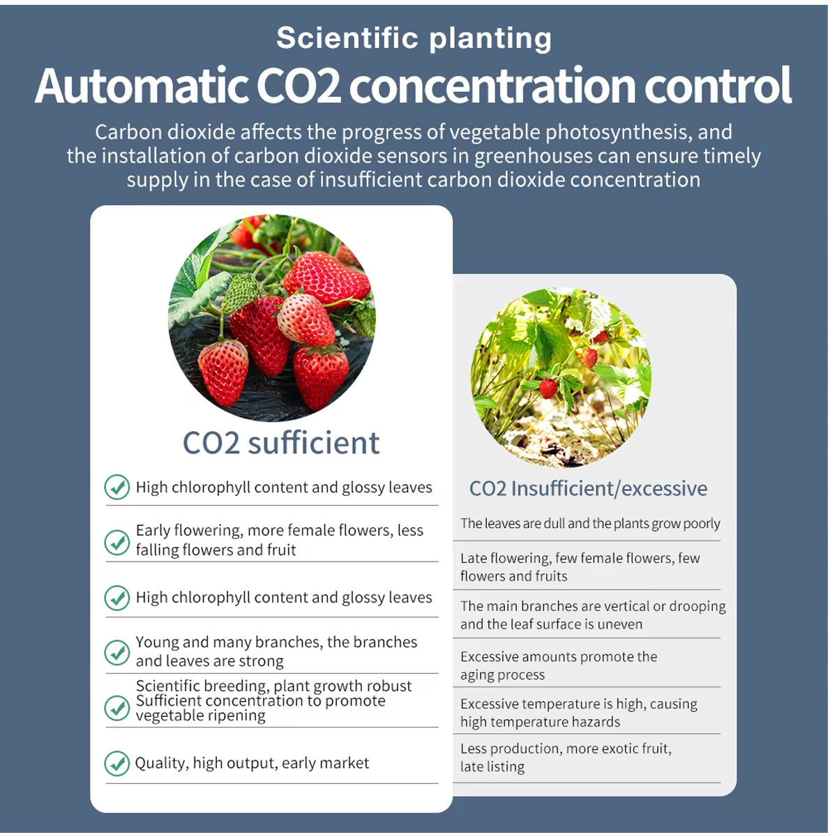 JuanJuan CO2 Controller