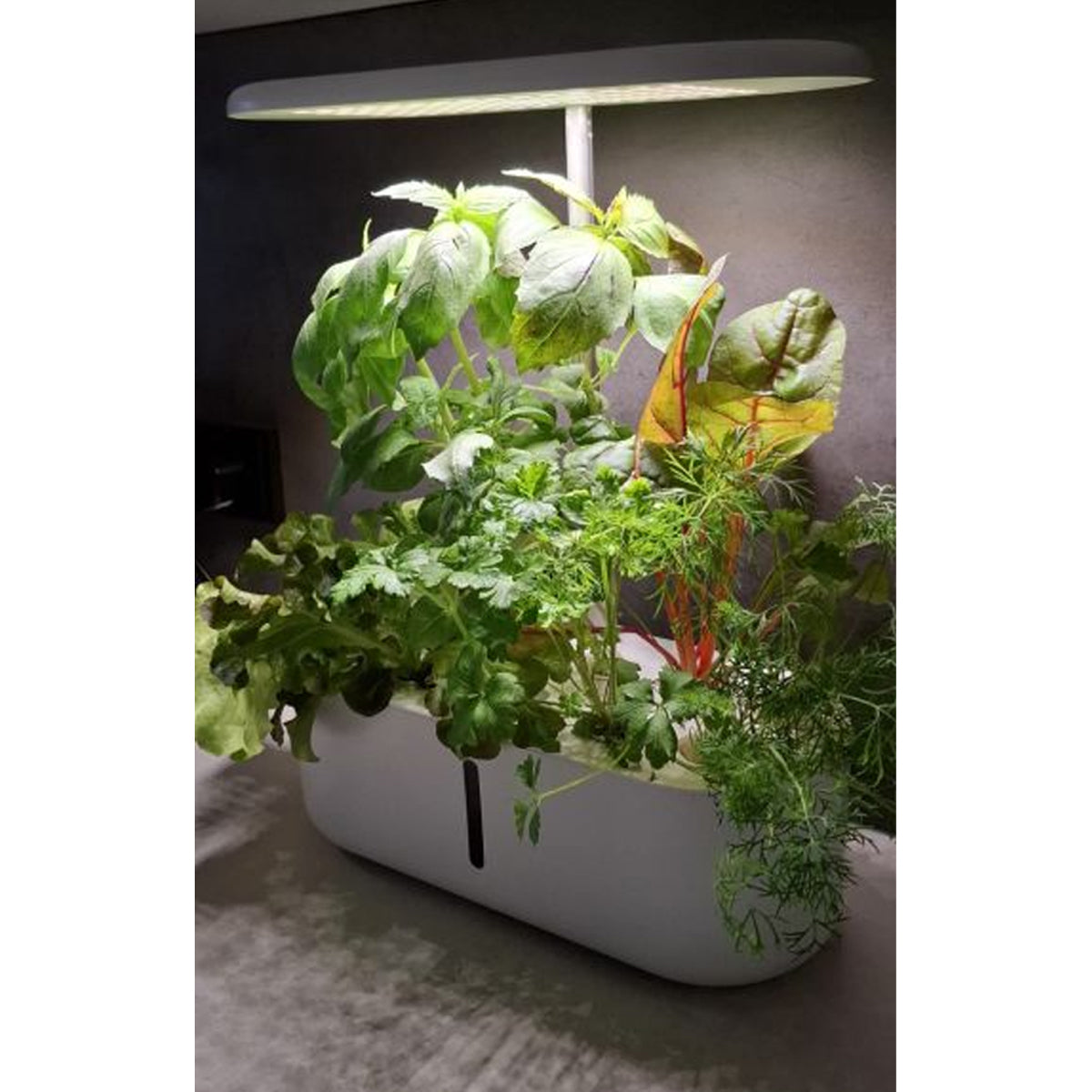 HTP Kitchen Garden Mini White