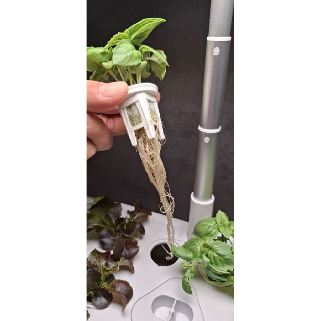 HTP Kitchen Garden Mini White