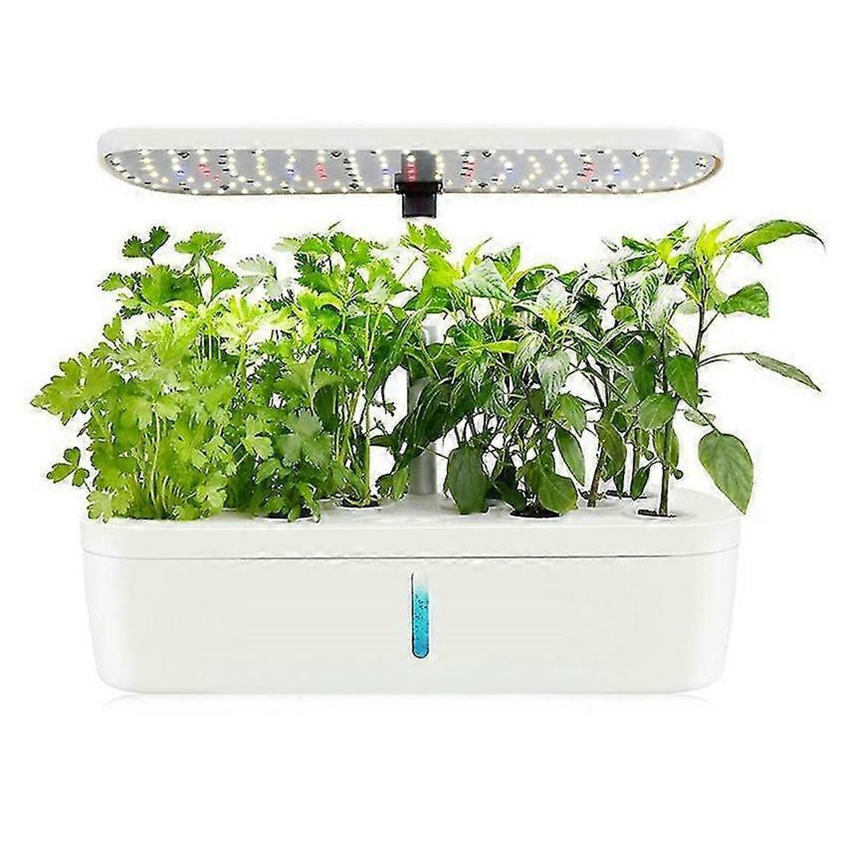 HTP Kitchen Garden Mini White