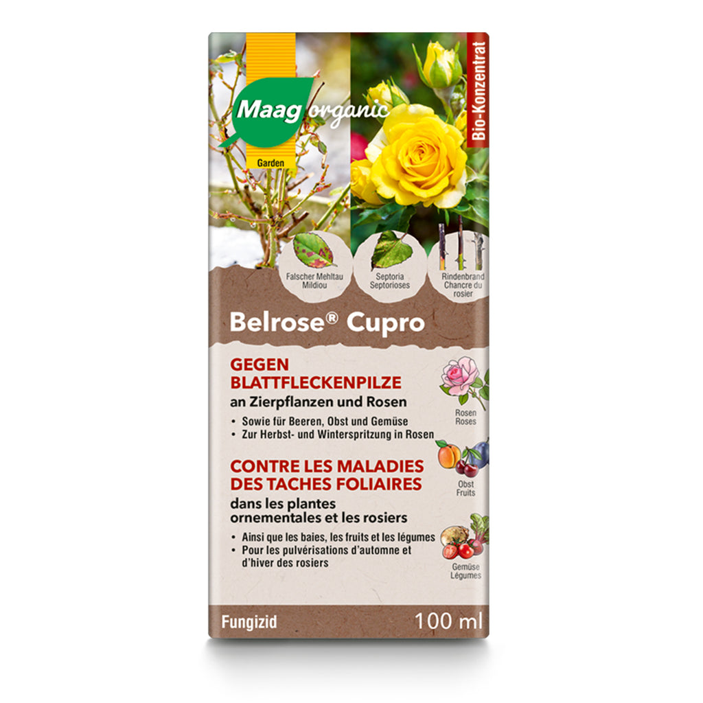 Maag Belrose® Cupro gegen Blattfleckenpilze