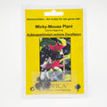 Tropica Micky-Mouse Plant (Ochna integerrima) - 10 Samen