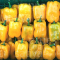 Paprika mild Quadrato d'asti Giallo