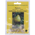 Tropica Pomelo Citrus maxima syn. C.grandis