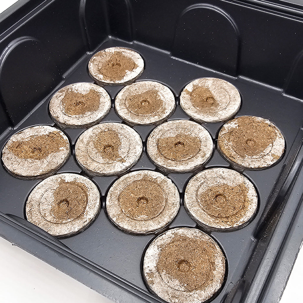 Plagron Seedbox Complete Kit