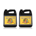 Advanced Nutrients Sensi Grow A+B pH-Perfect à 5L