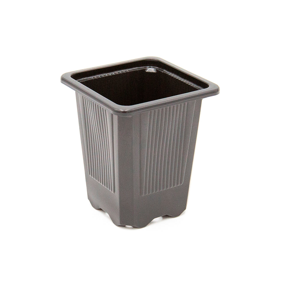 Teku Stecklings Topf 7 x 7 x 8cm 0.2l
