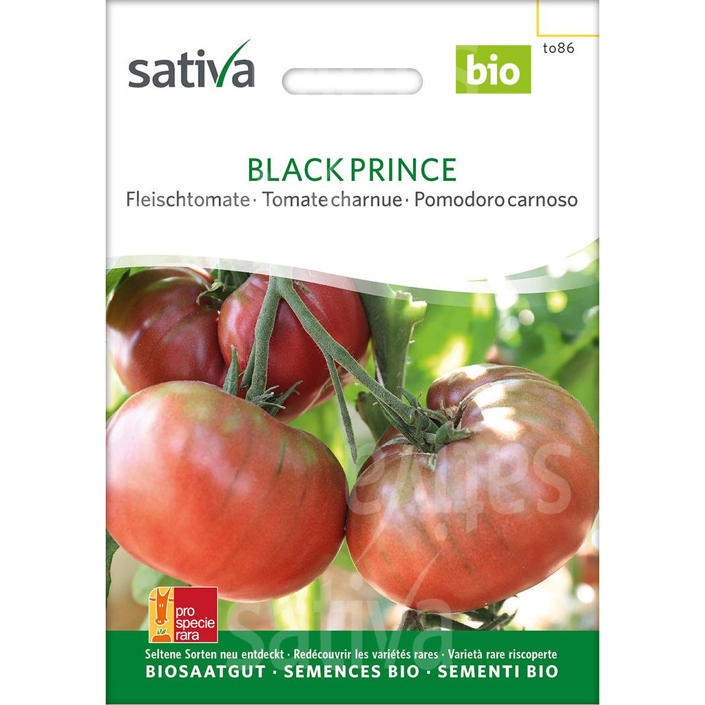Tropica Black Prince (Solanum lycopersicum)